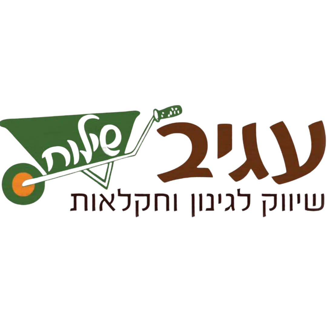 עגיב שילוח